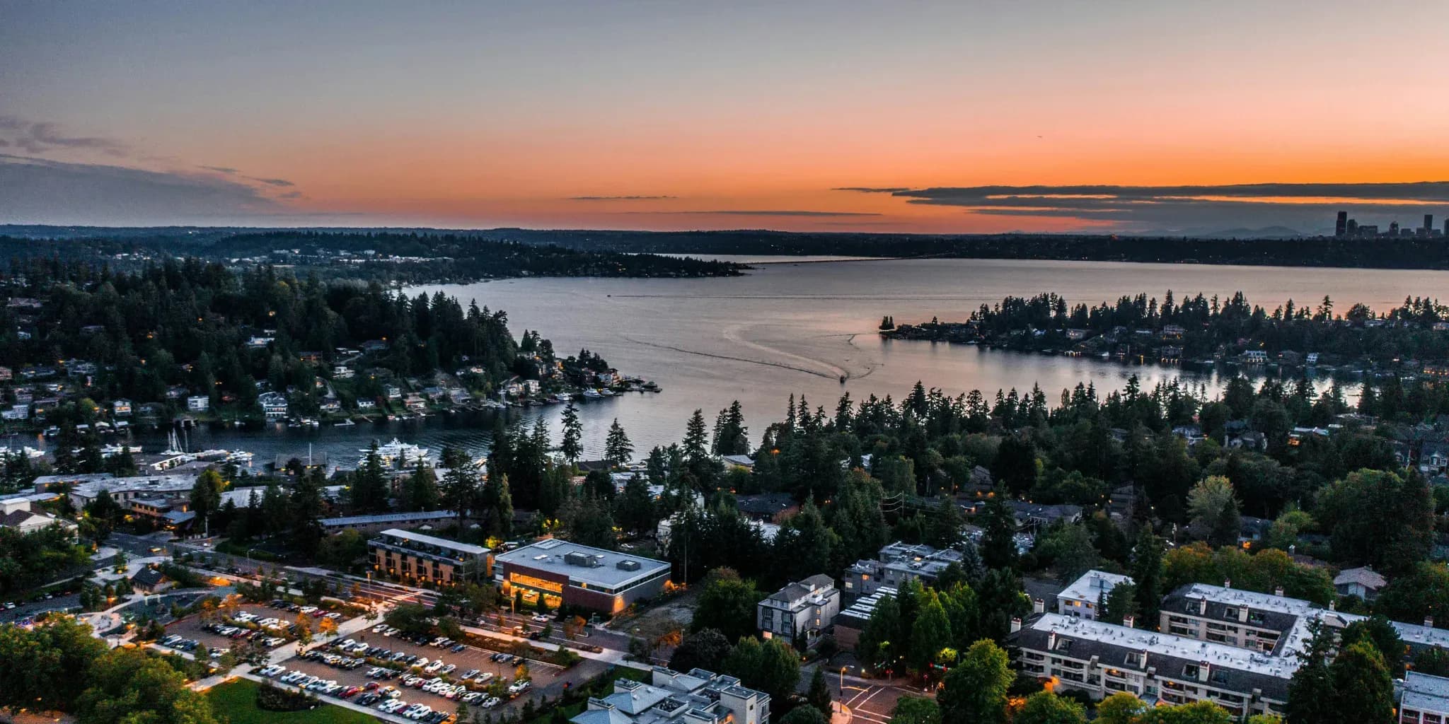 Your Bellevue Love Story Starts Here