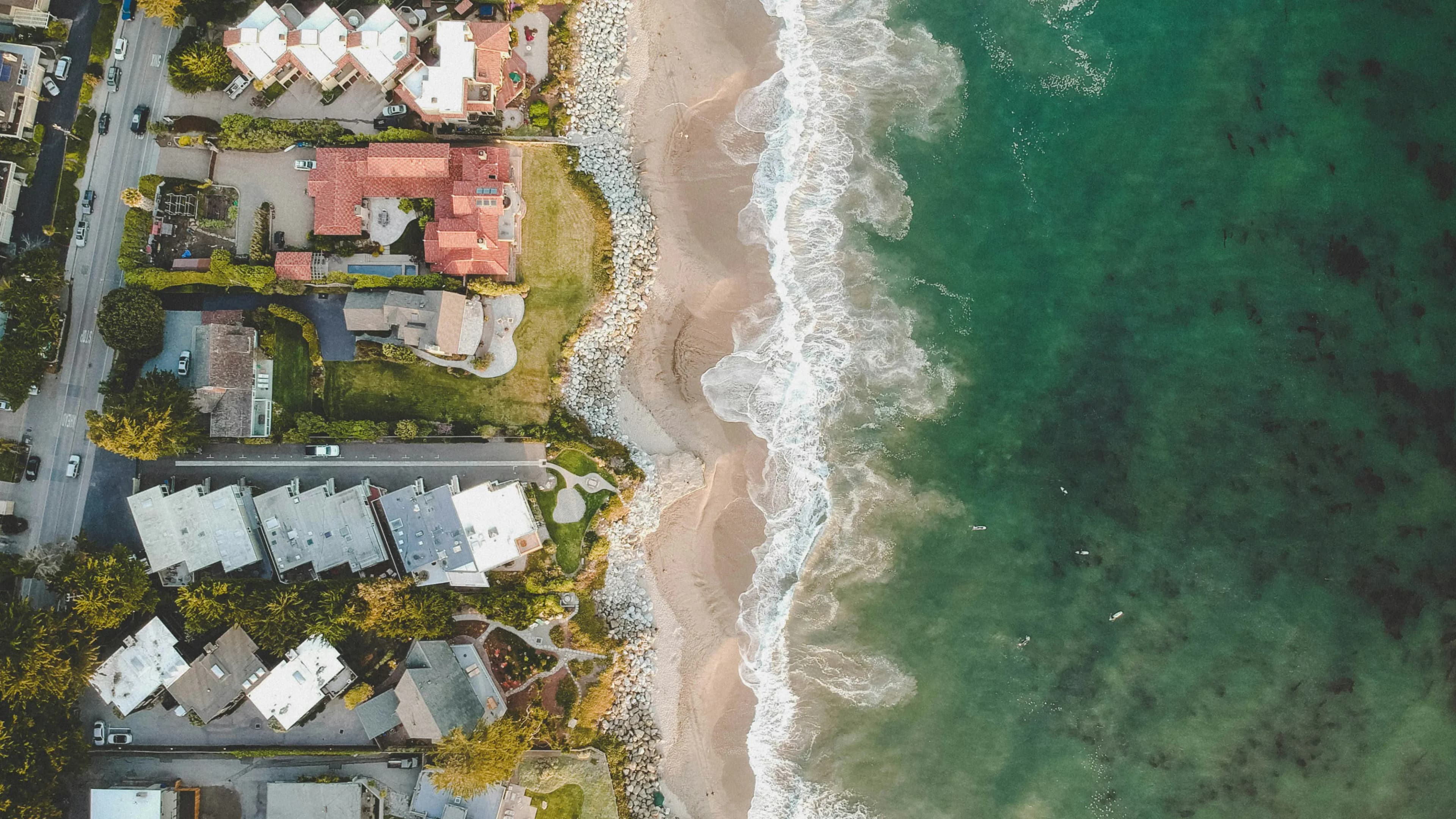 Start Your Silicon Valley Love Story Today