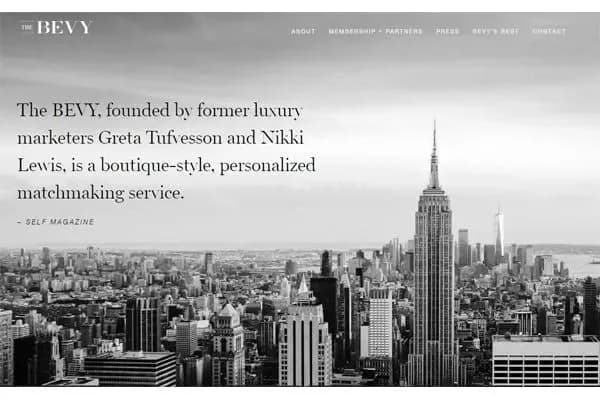 The Bevy Reviews [Can They Find Your Perfect Match?]