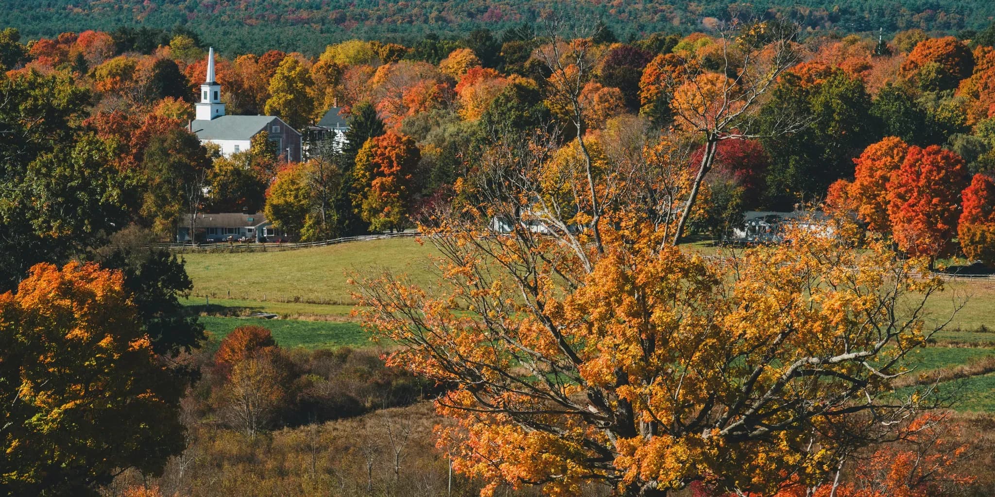 Start Your Love Story