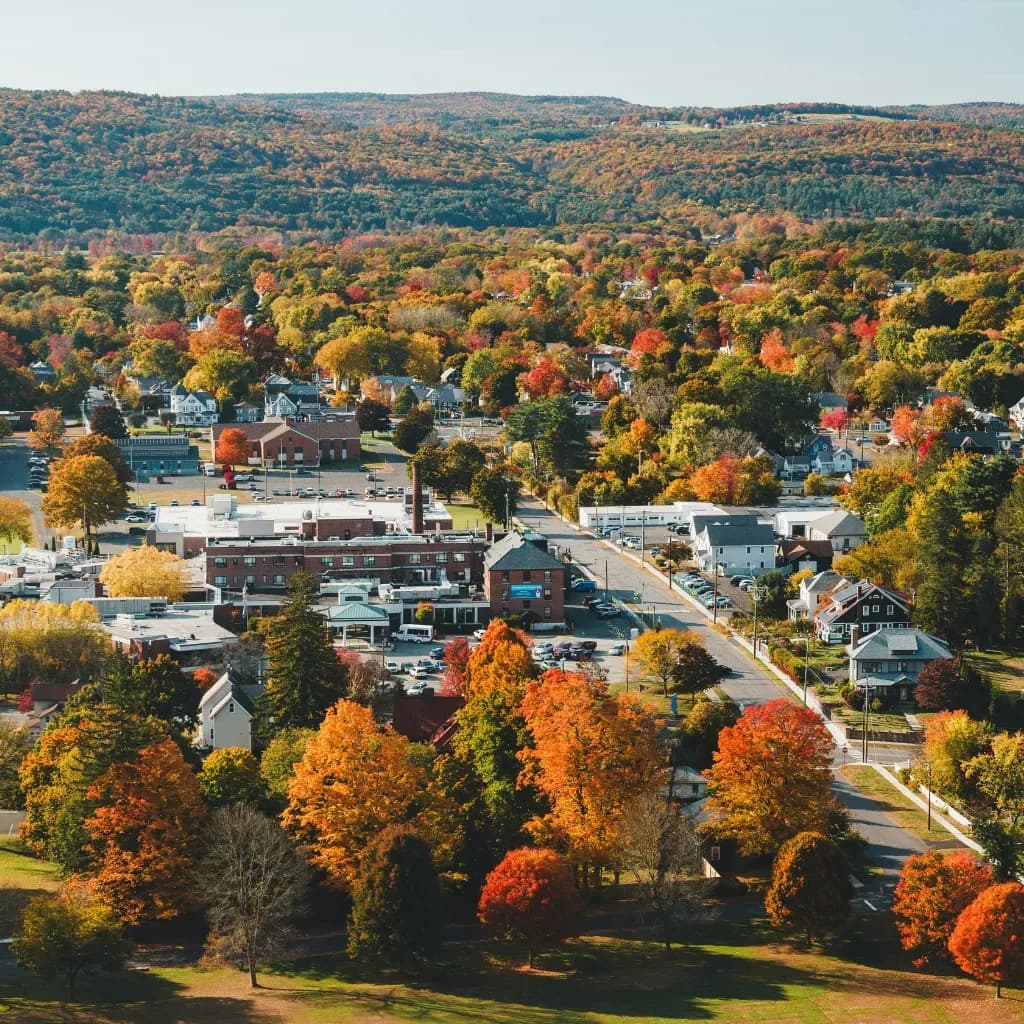 Wellesley's #1 Matchmaker for Accomplished Professionals