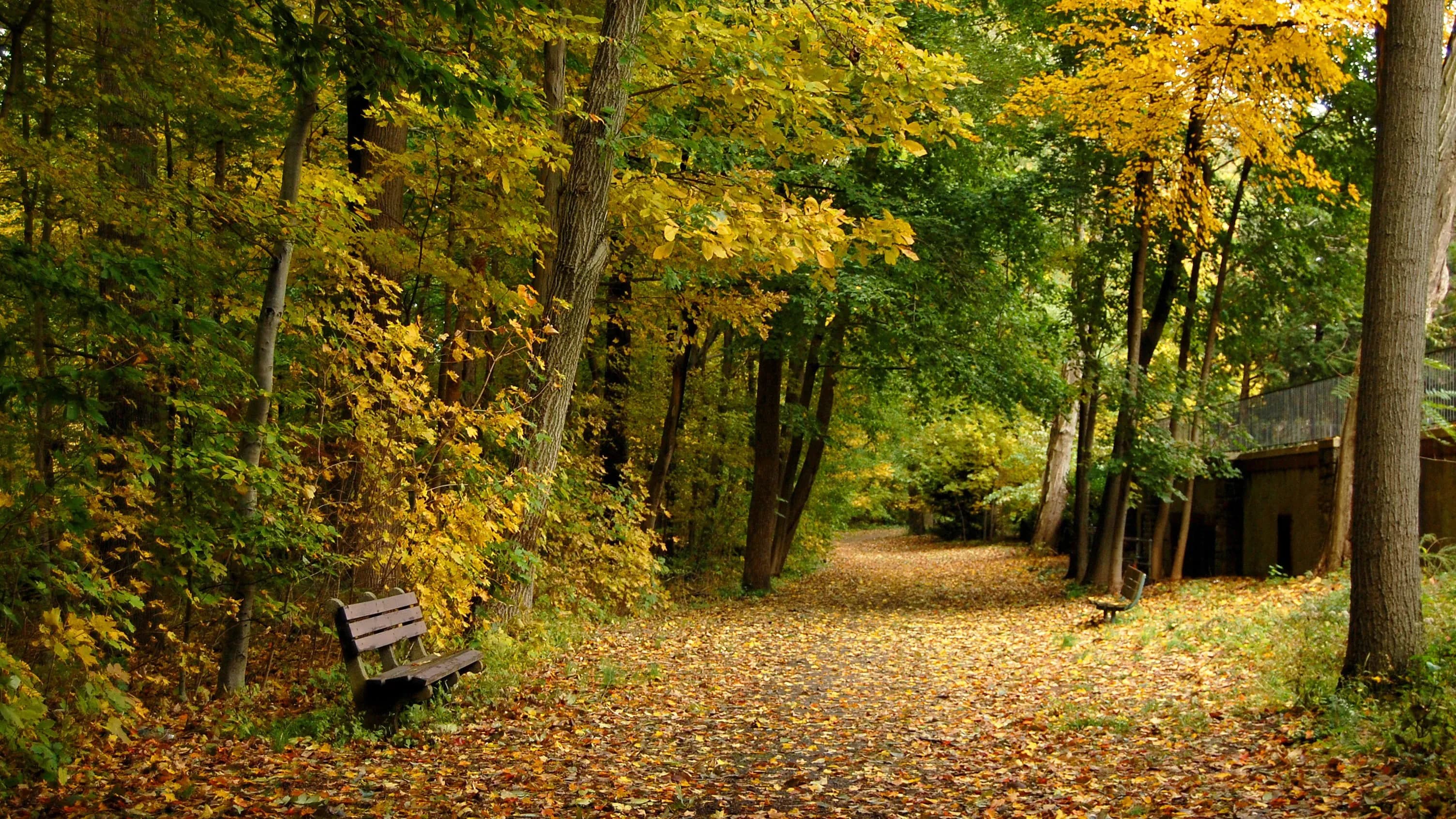 Westchester's Premier Matchmaker for Accomplished Singles