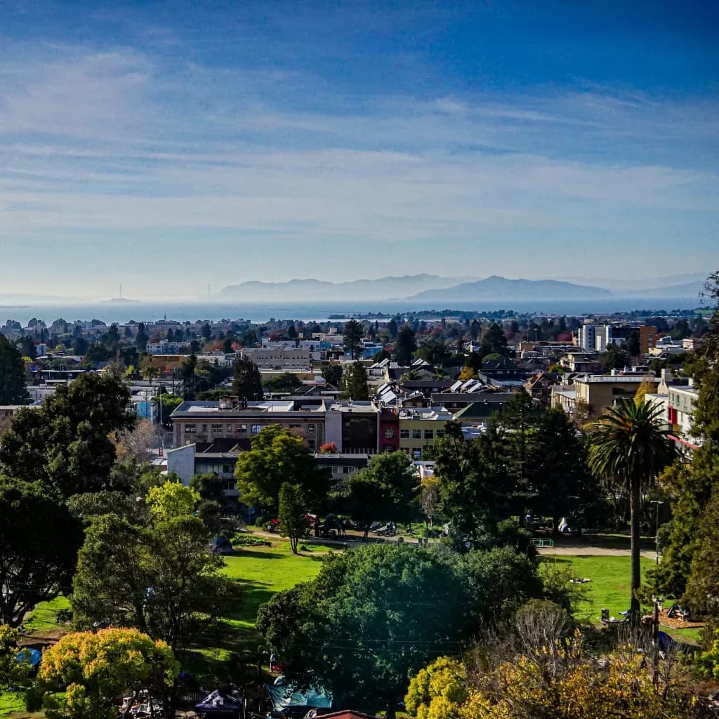 East Bay's #1 Matchmaker for Accomplished Professionals