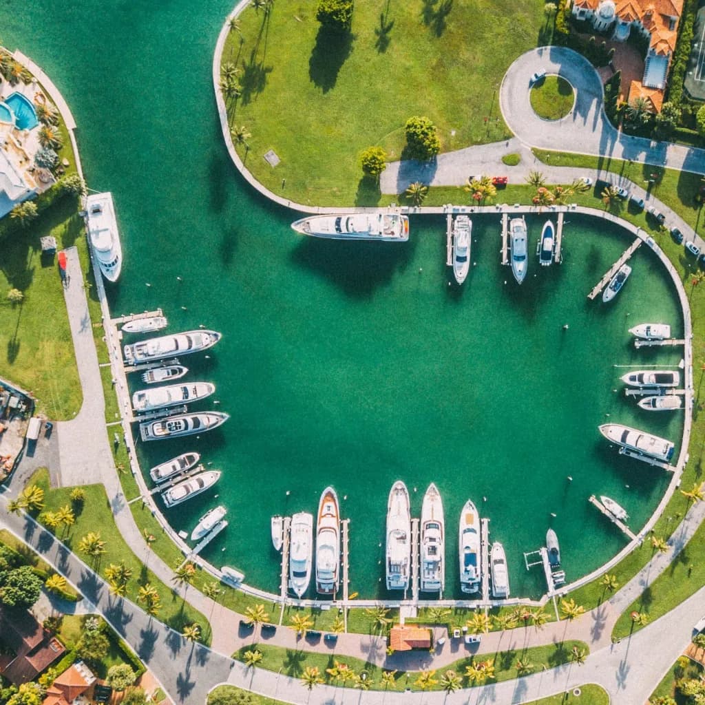 Florida's #1 Matchmaker for Established Professionals