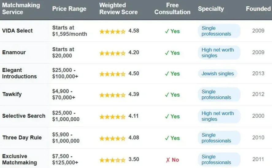 Best Matchmakers For Young Professionals [2026 Top List!]