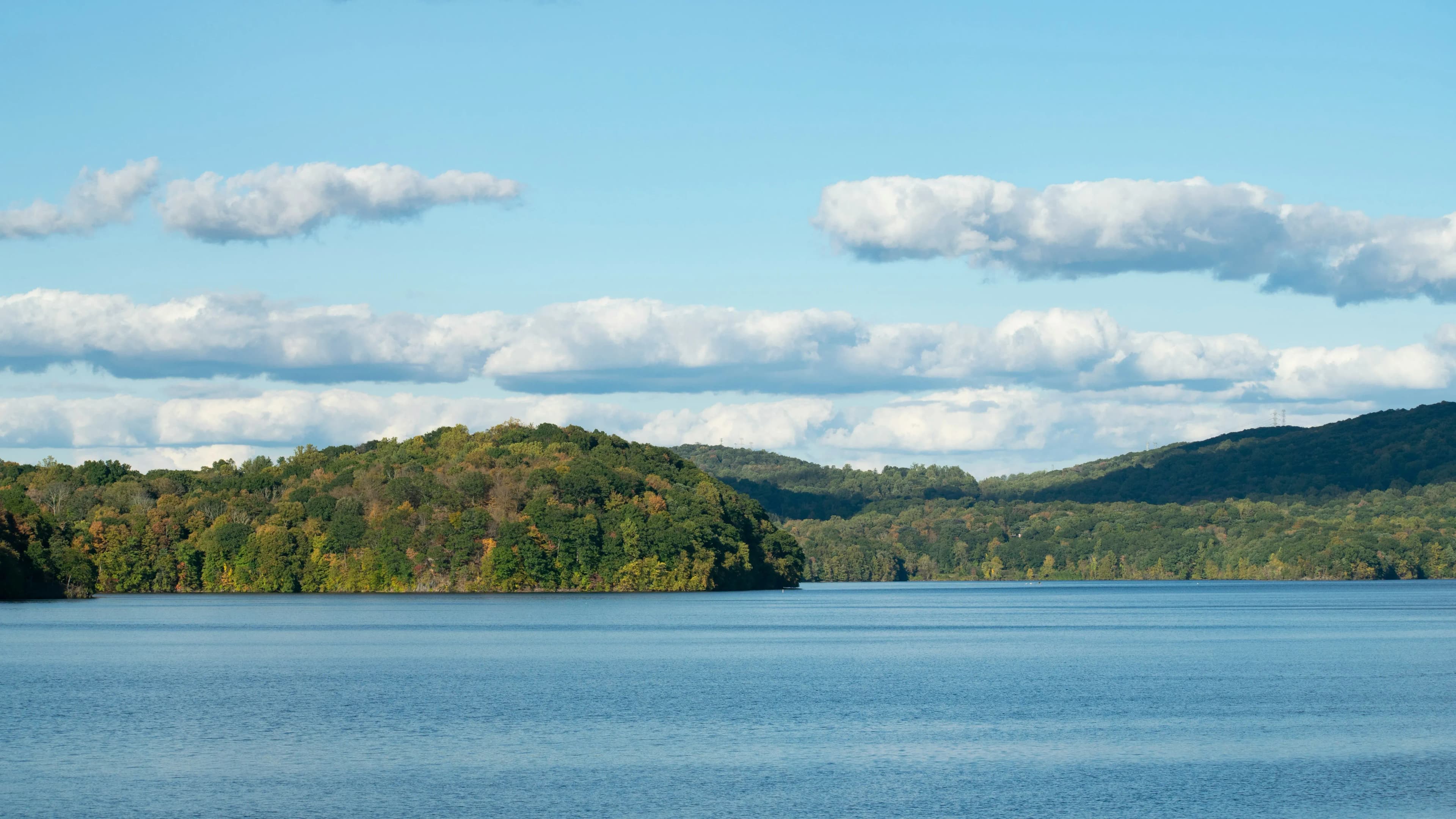 Stop Settling. Start Your Westchester Love Story Today.