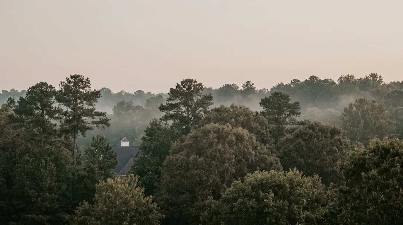 Your Alpharetta Love Story Starts Here