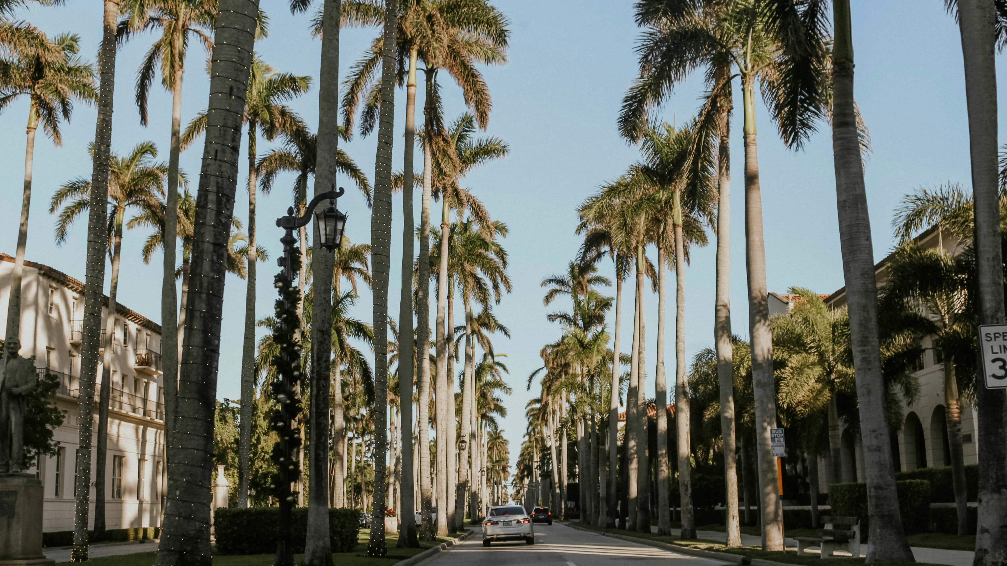 Palm Beach's #1 Matchmaker for Accomplished Professionals