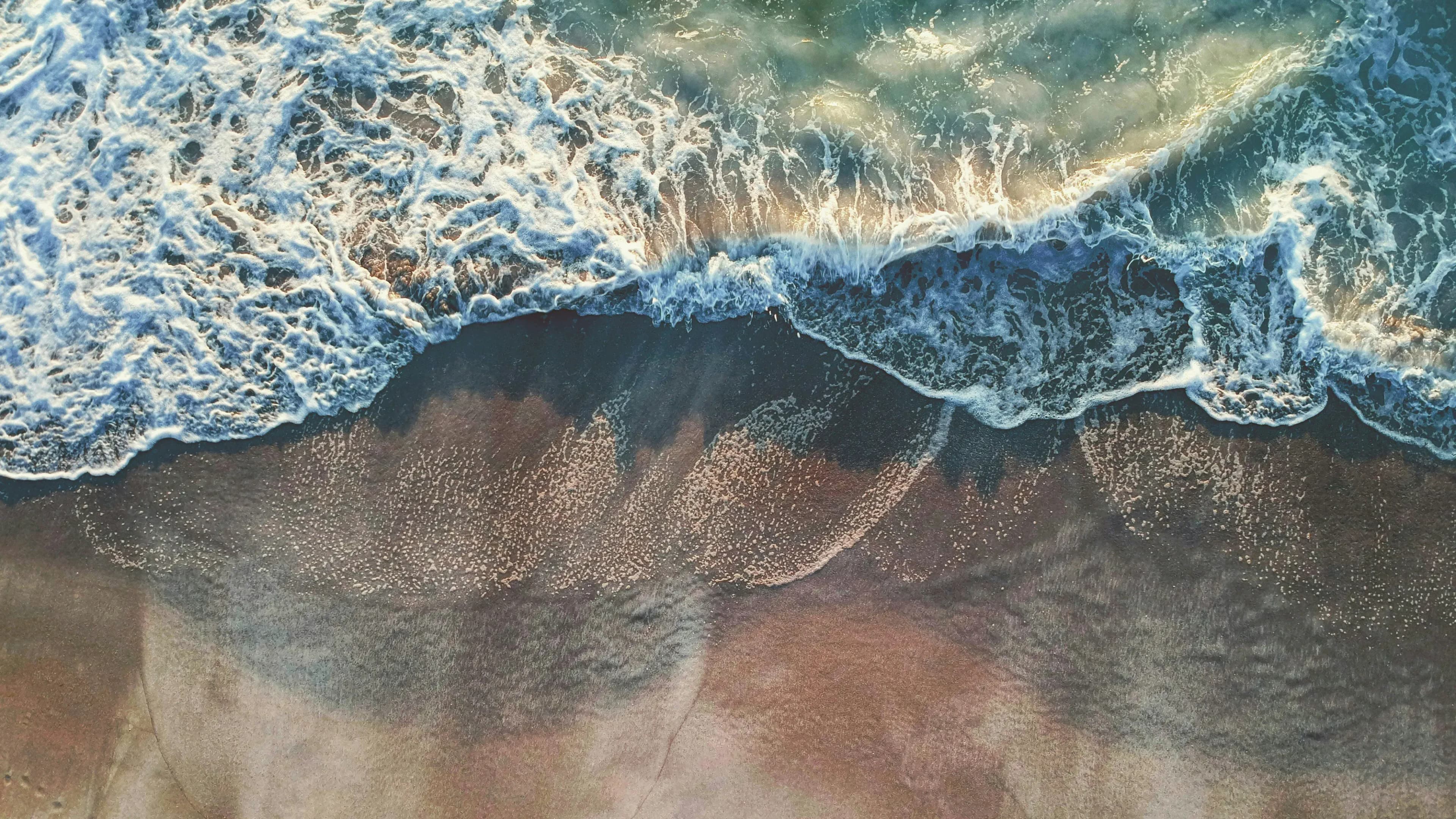 Sarasota's Premier Matchmaker for Accomplished 40+ Singles