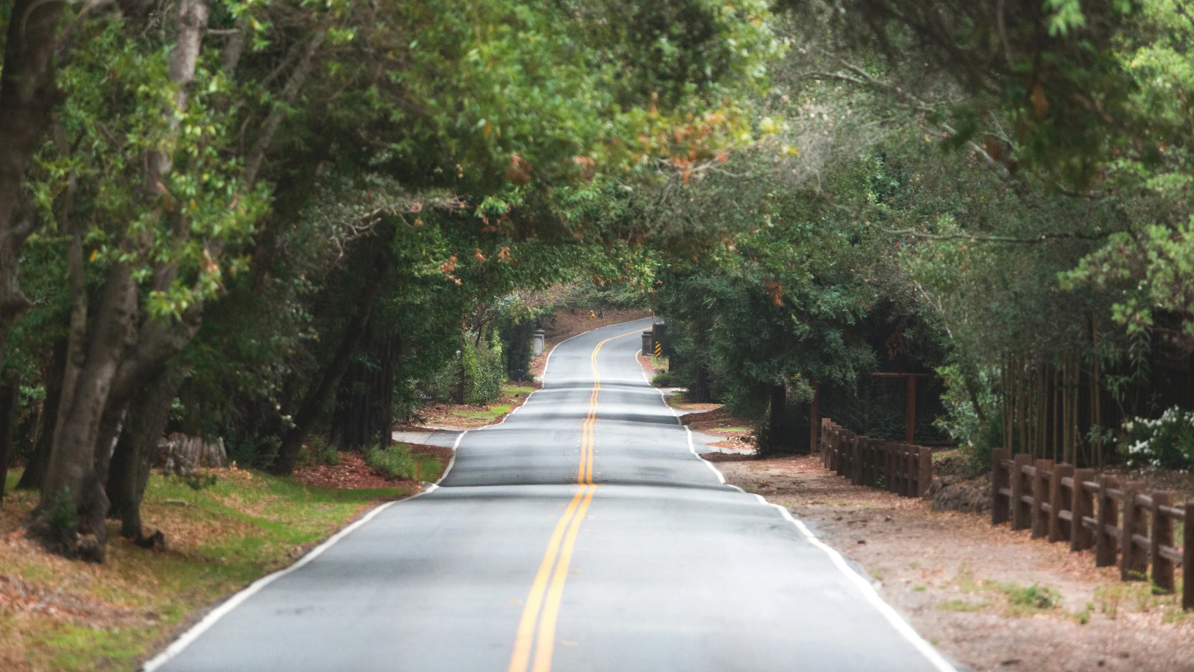 Start Your Peninsula Love Story