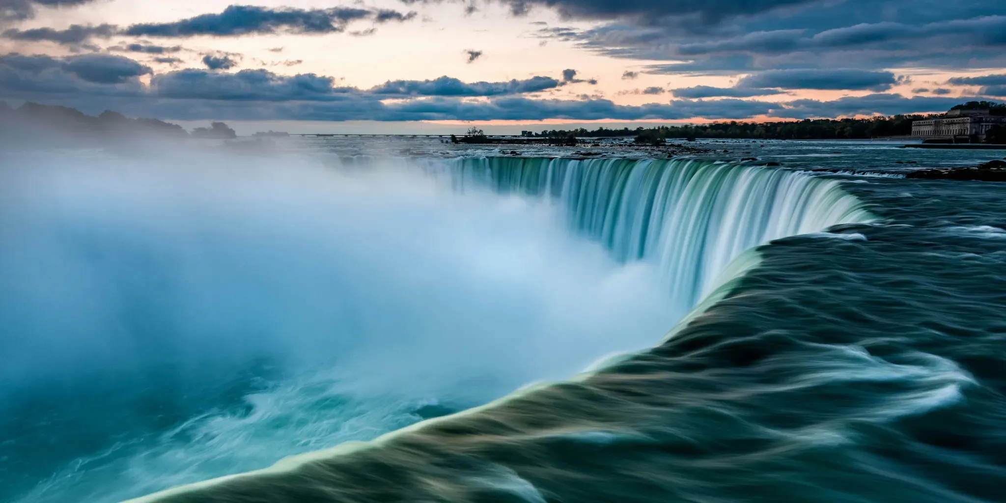 Your Buffalo Love Story Starts Here
