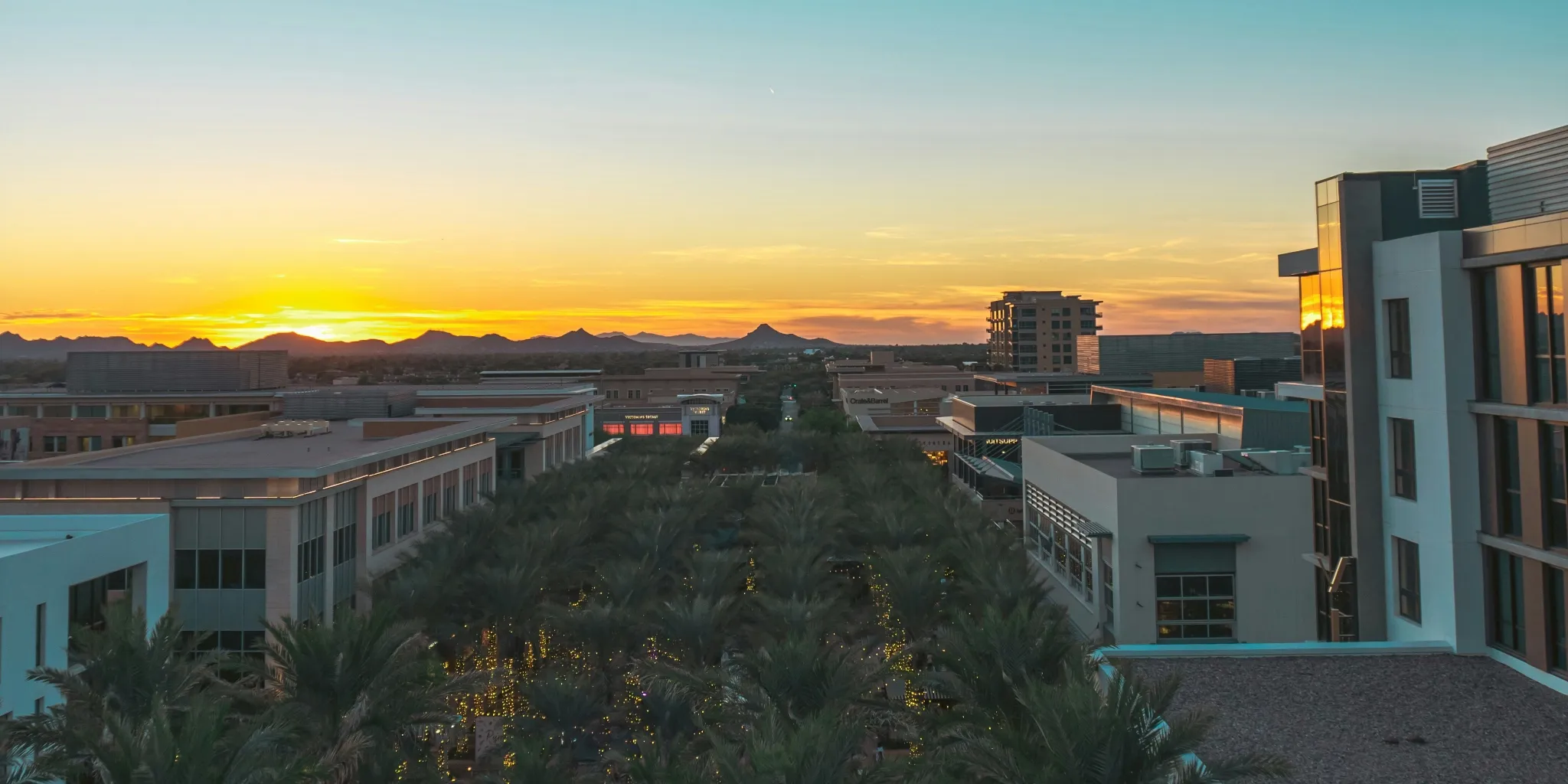 Begin Your Phoenix Love Story Today