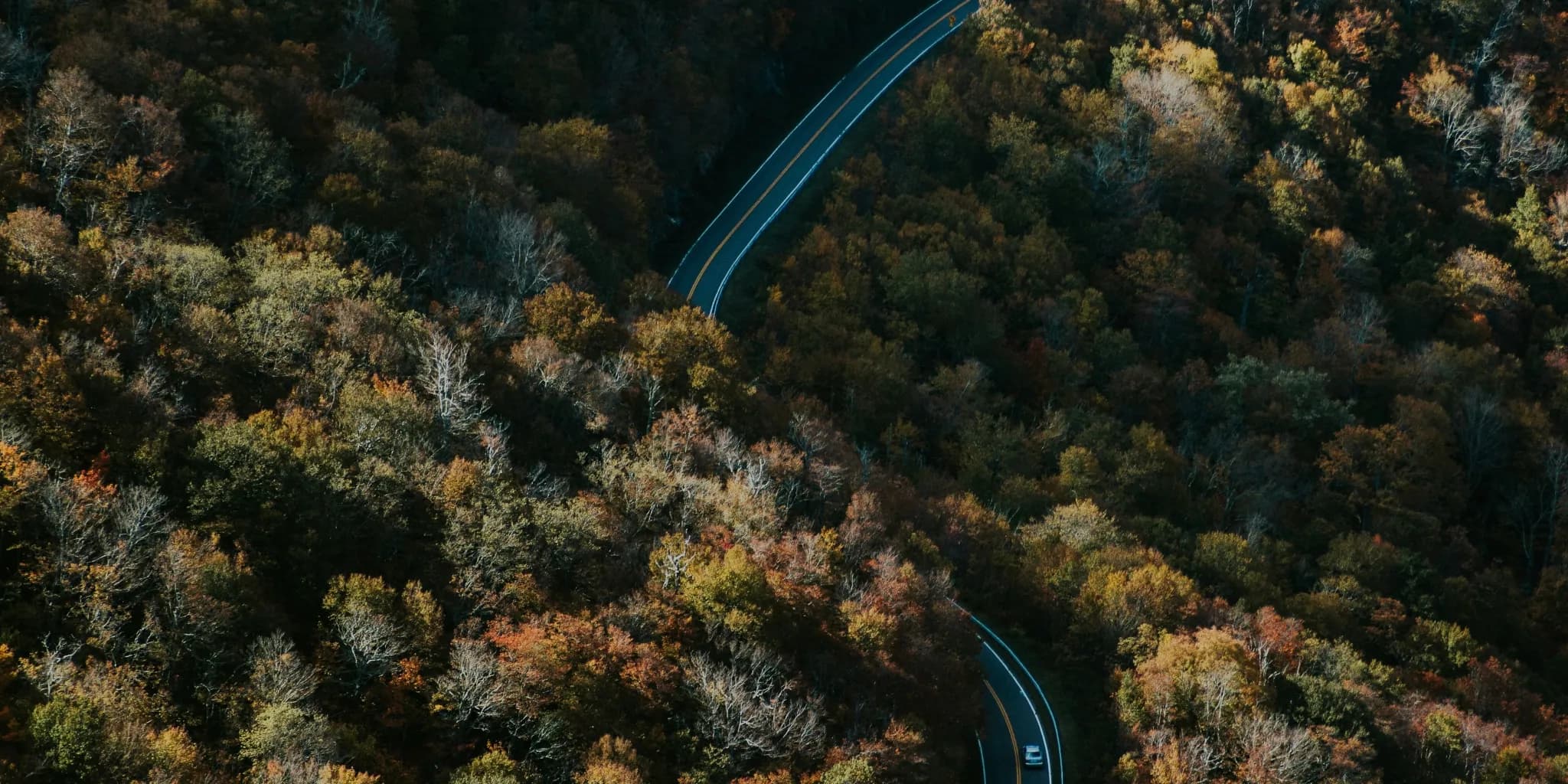 Get Off The Dating Hamster Wheel