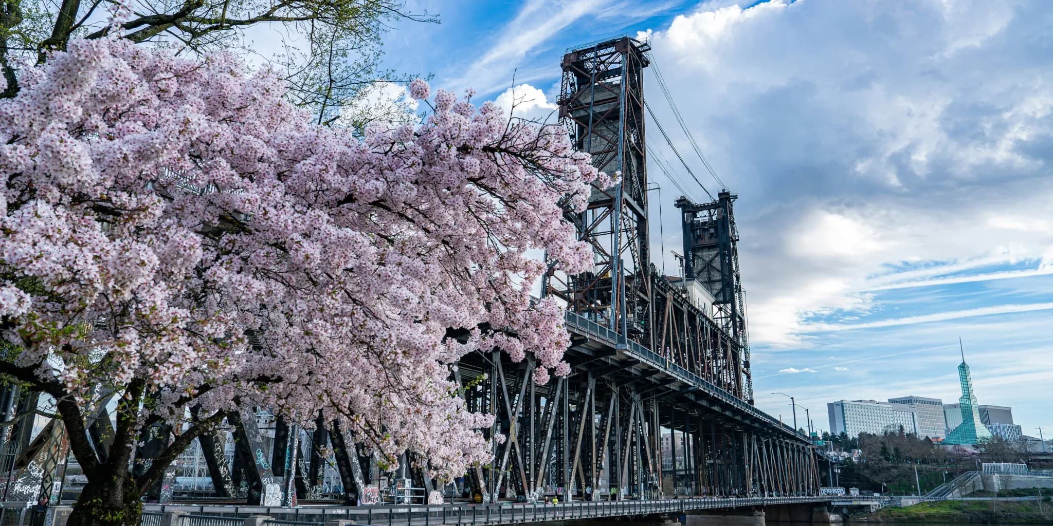 Your <b>Oregon Love Story</b> Begins Here