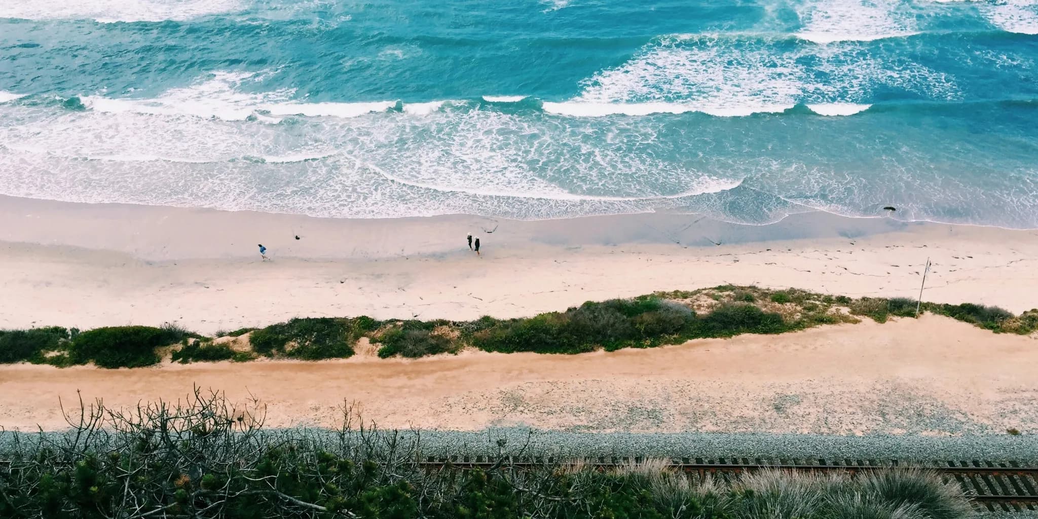 Begin Your San Diego Love Story Today