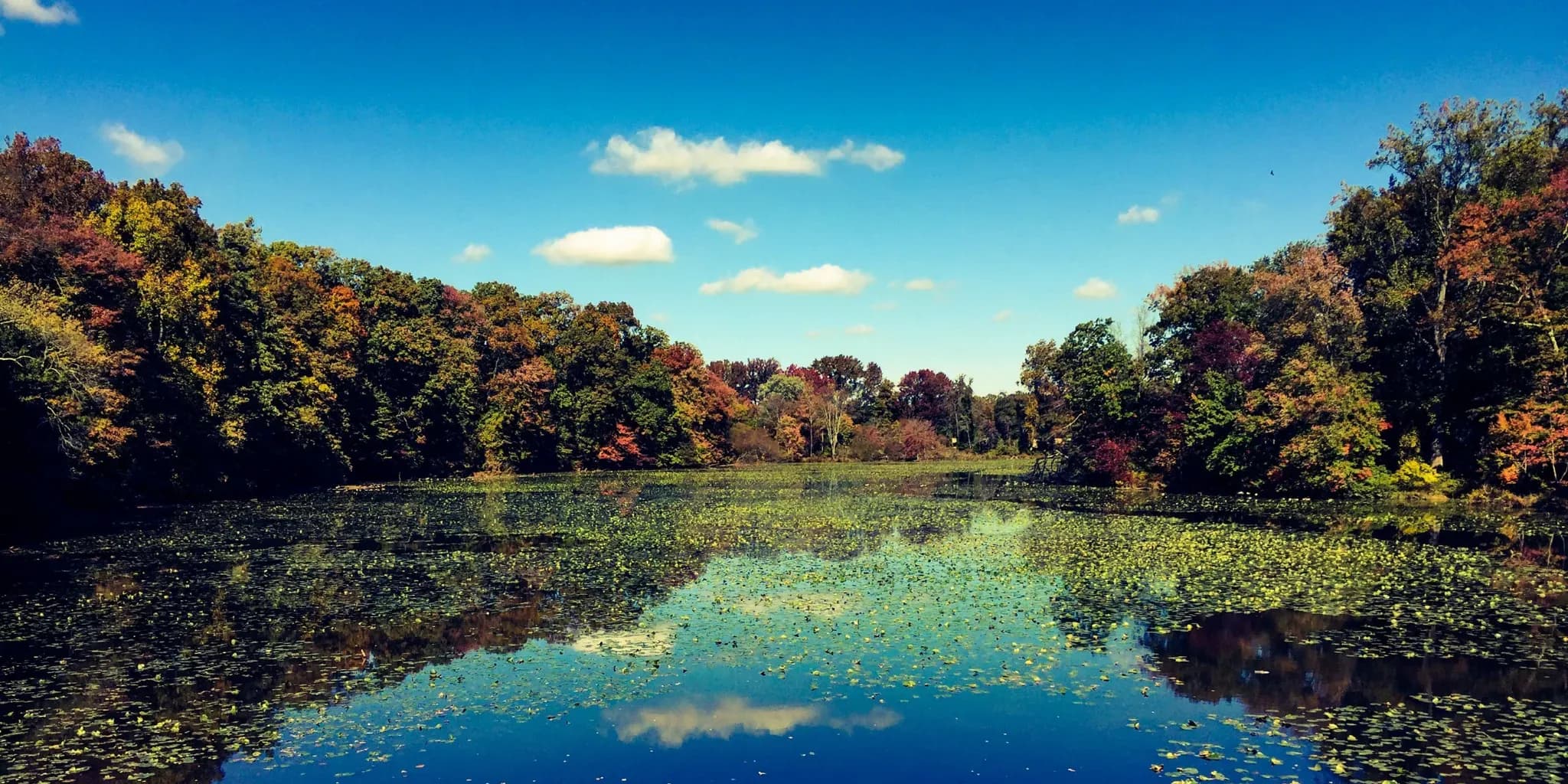 Start Your Delaware Love Story Today