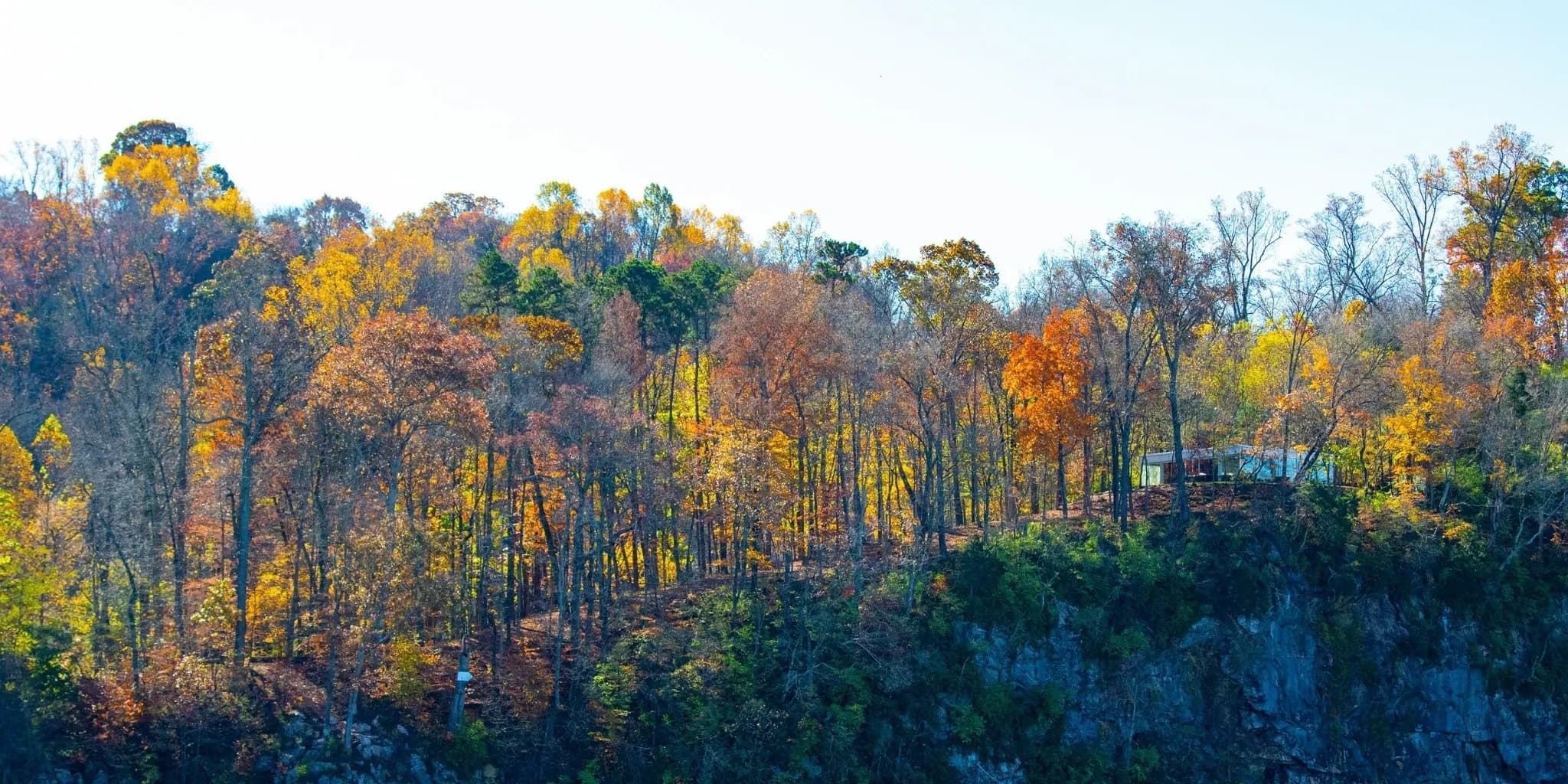 Begin Your Knoxville Love Story Today