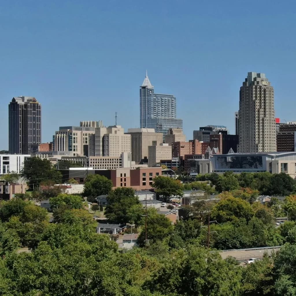 Raleigh Durham's Premier Matchmaker for Professionals