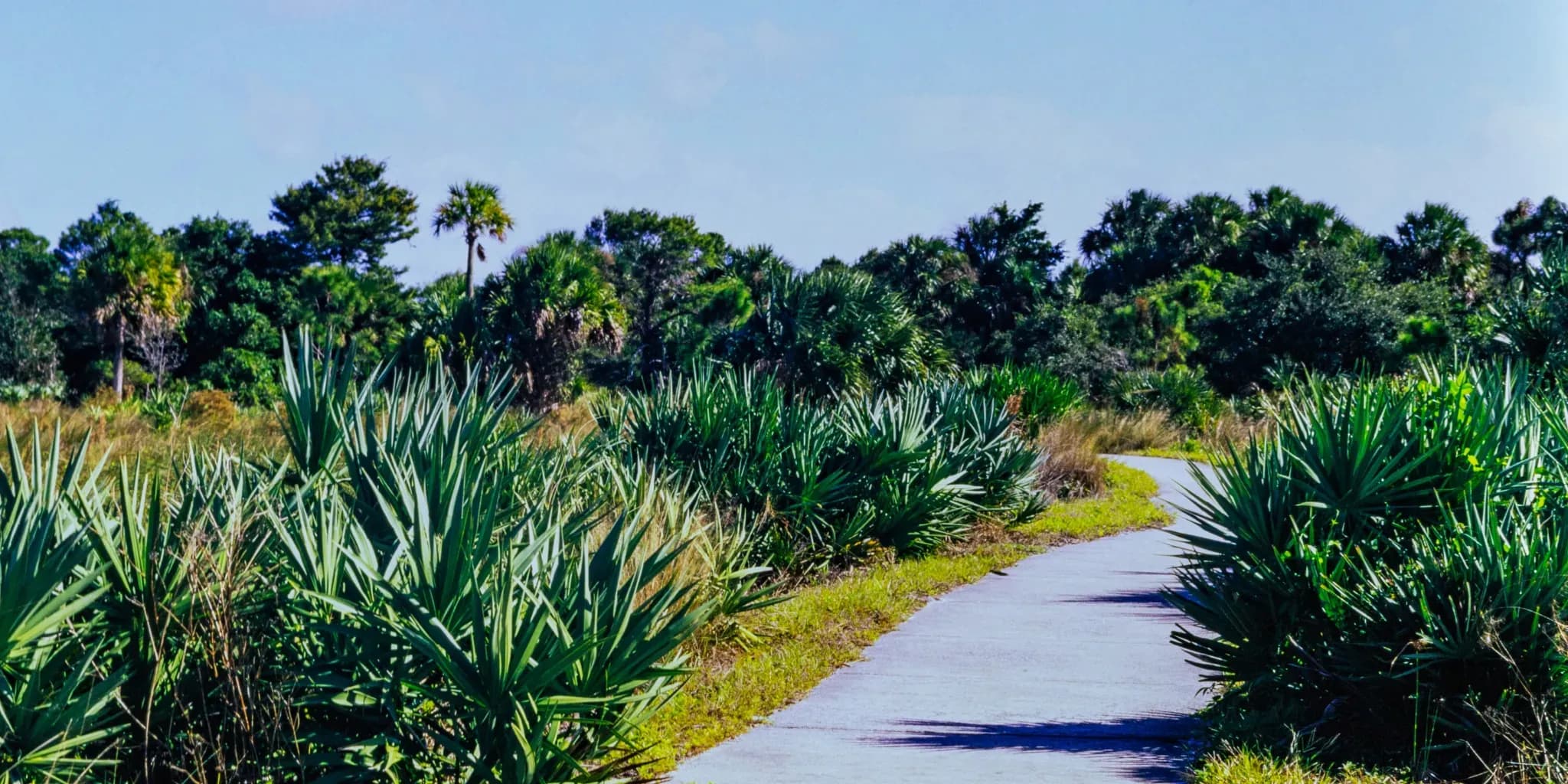 Begin Your Boca Raton Love Story Today