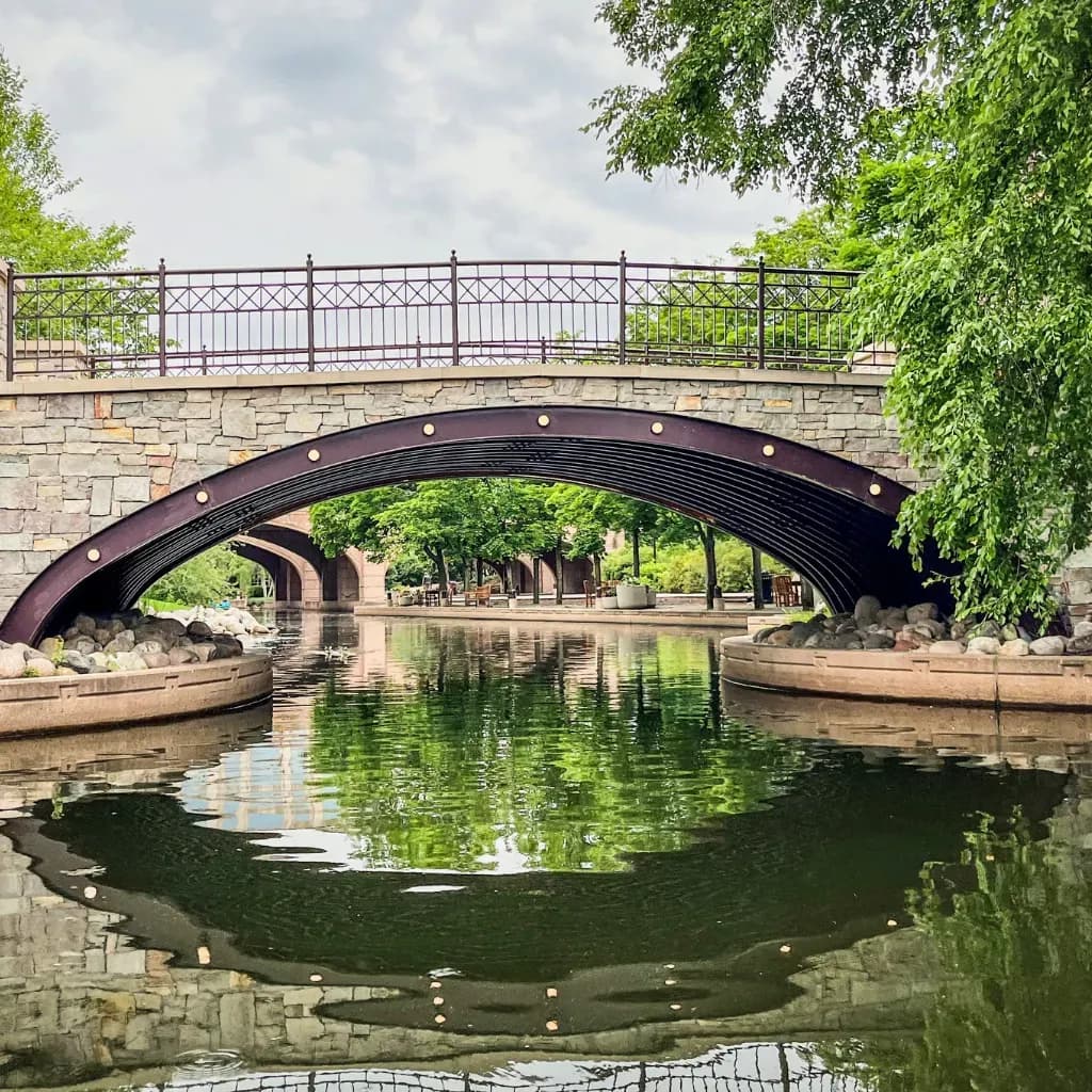 Edina's #1 Matchmaker for Relationship-Minded Professionals