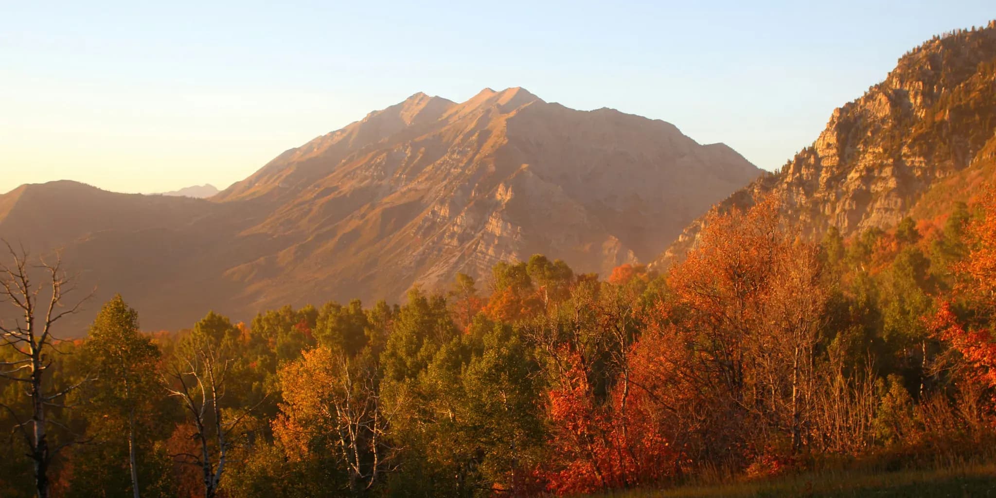 Your Provo Story Starts Here