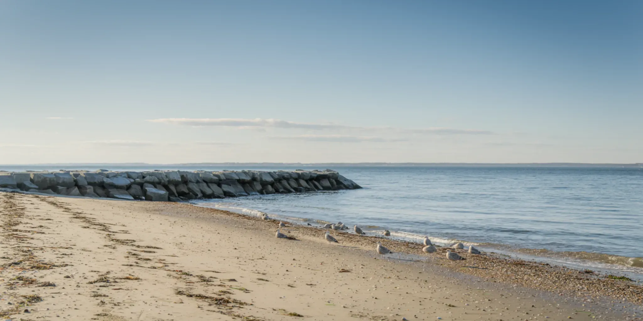 Your Westport Love Story Starts Here