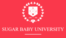Sugar Baby University