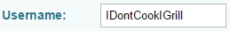 POF Username Ideas: 15 Irresistible Examples For Guys 15 idontcookigrill
