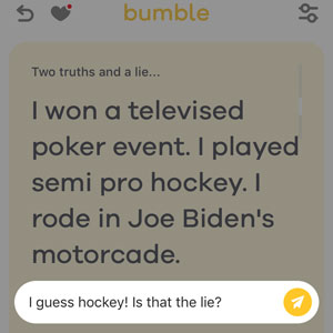 examples of bumble profiles 3