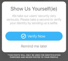 Verify Now Bumble hack