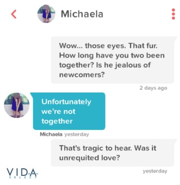 Tinder mensagem a perguntar sobre animais de estimação