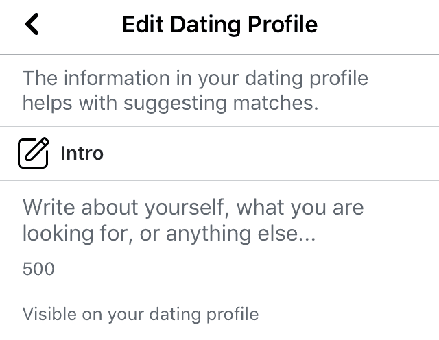 Facebook dating bio