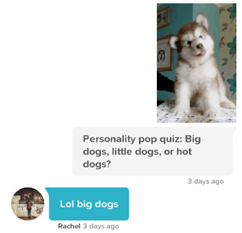 Tinder opener for a match who loves dogs