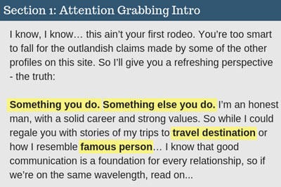 POF Inbox A Ghost Town? These Expert Hacks Will Get Women Interested! 6 POF profile template Part 1