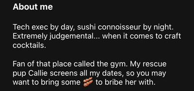 Hily Dating App Review For 2023 (Does It Actually Work?) 23 Good Hily profile example