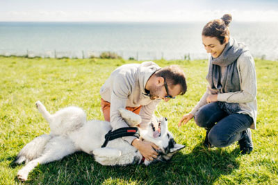 Sick Of Swiping? 10 Best Alternatives To Dating Apps! 9 Use your dog to meet someone