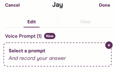How to add a Hinge Voice Prompt