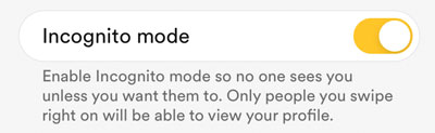 Bumble Incognito Mode: How It Works, Price & More! 2 how to active incognito