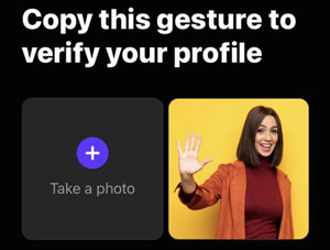 Hily Dating App Review For 2023 (Does It Actually Work?) 24 Hily verification prompt