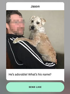 Need A Tinder Alternative? These 7 Dating Apps Are Better Than Tinder! 6 Hinge photo comment example