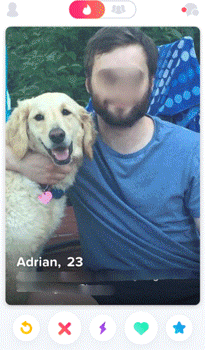 Example of dogs with owners on Tinder