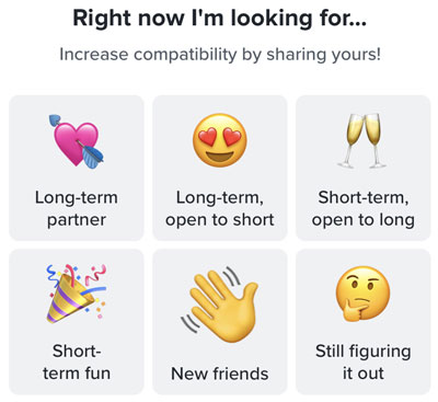 Tinder relationship goals options