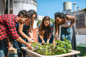 Boston volunteers at a community garden