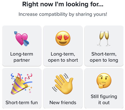 Tinder Relationship Goals emoji