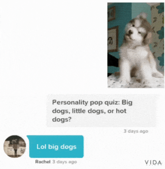 11 Proven Tinder Opening Lines You Can Send To Any Match 6 Personality pop quiz Tinder opener with puppy