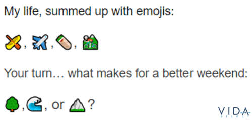 Example of a Bumble bio using emoji