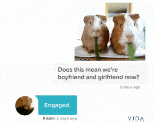 11 Proven Tinder Opening Lines You Can Send To Any Match 7 example of a good Tinder opener to send with a cute hamster gif
