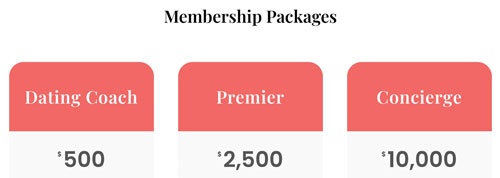Bloom Matchmaking memberships range from $500 to $10,000+