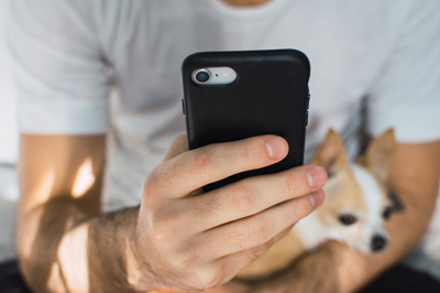Man using cell phone to send a message with a chihuahua in his lap